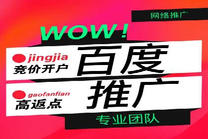 SEM托管服务，案例分享转化成果